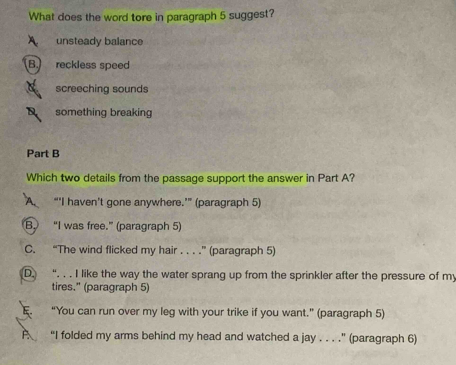what does the word tore in paragraph 5 suggest? a. unsteady balance b. …