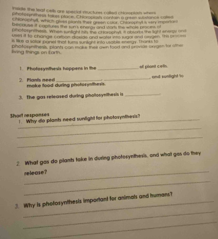 inside the leaf cells are special structures called chloroplasts where …