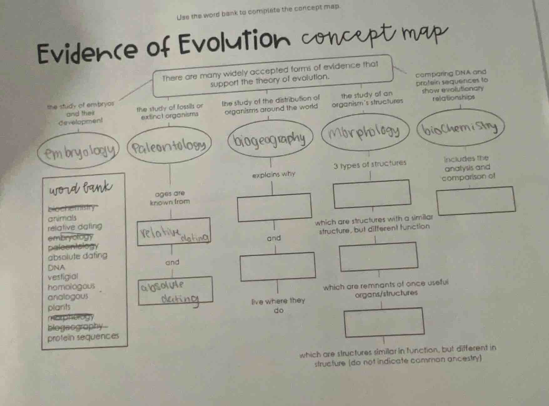 use the word bank to complete the concept map. evidence of evolution co…