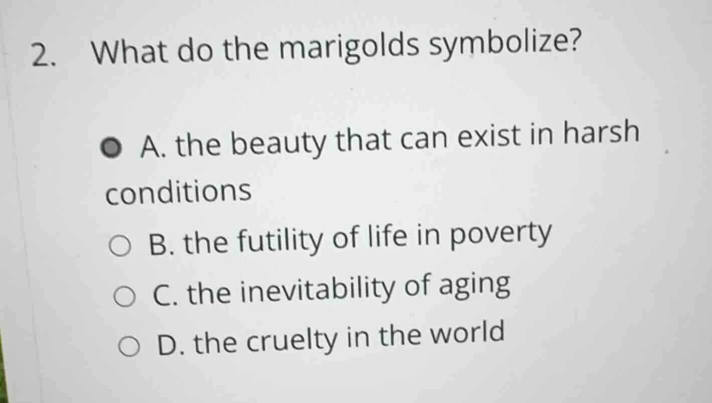 2. what do the marigolds symbolize? a. the beauty that can exist in har…