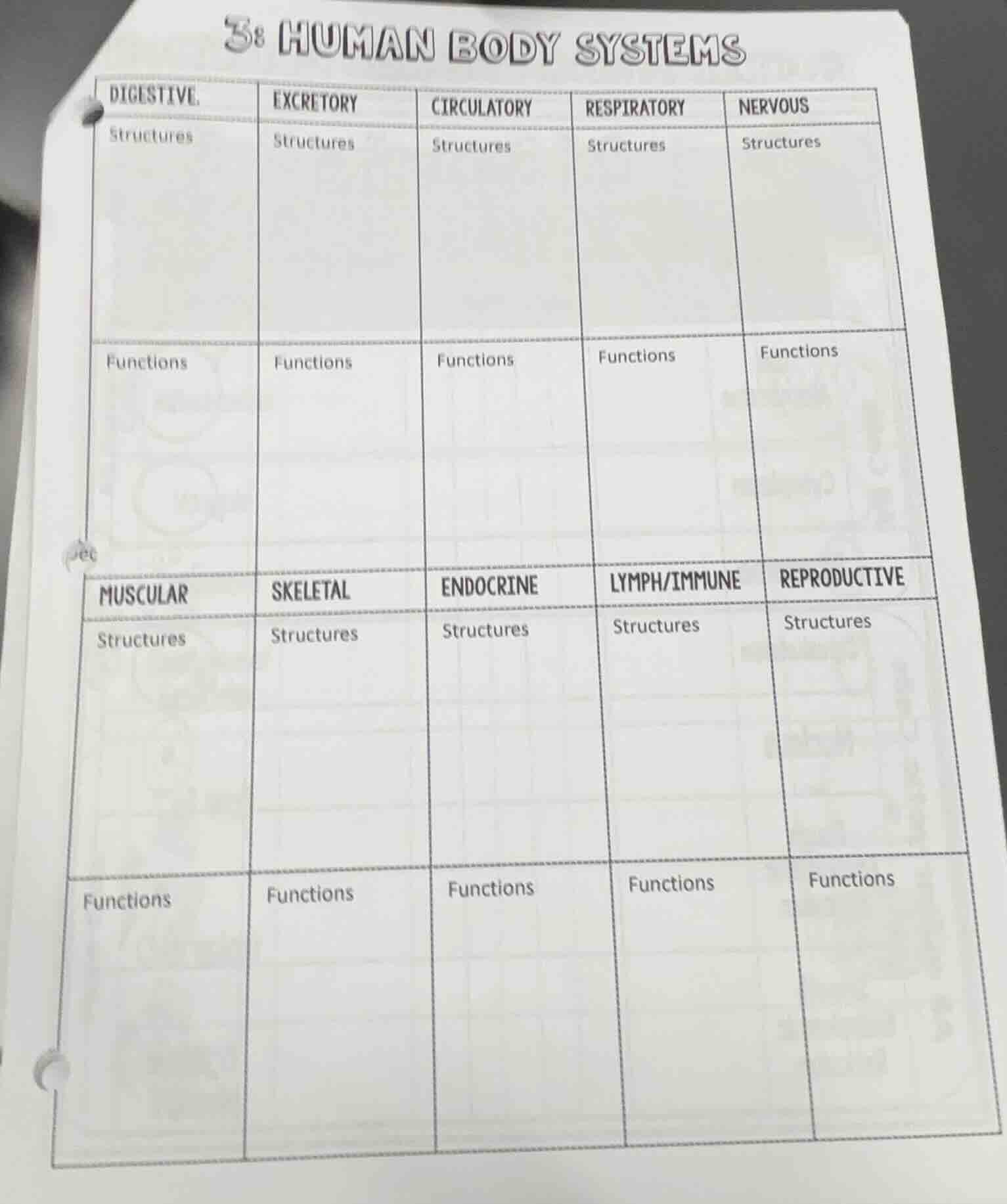 3. human body systems digestive\texcretory\tcirculatory\trespiratory\tn…