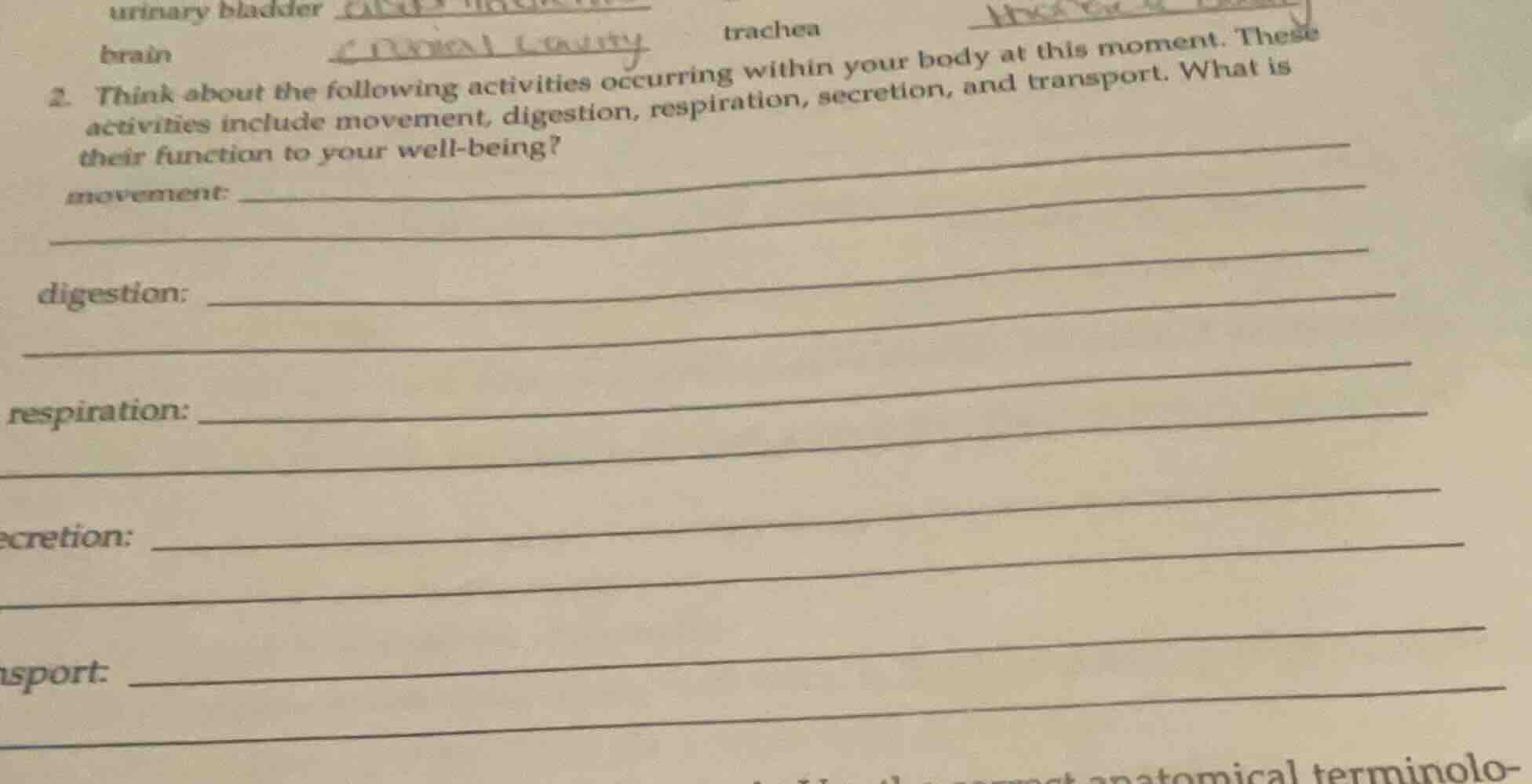 2. think about the following activities occurring within your body at t…