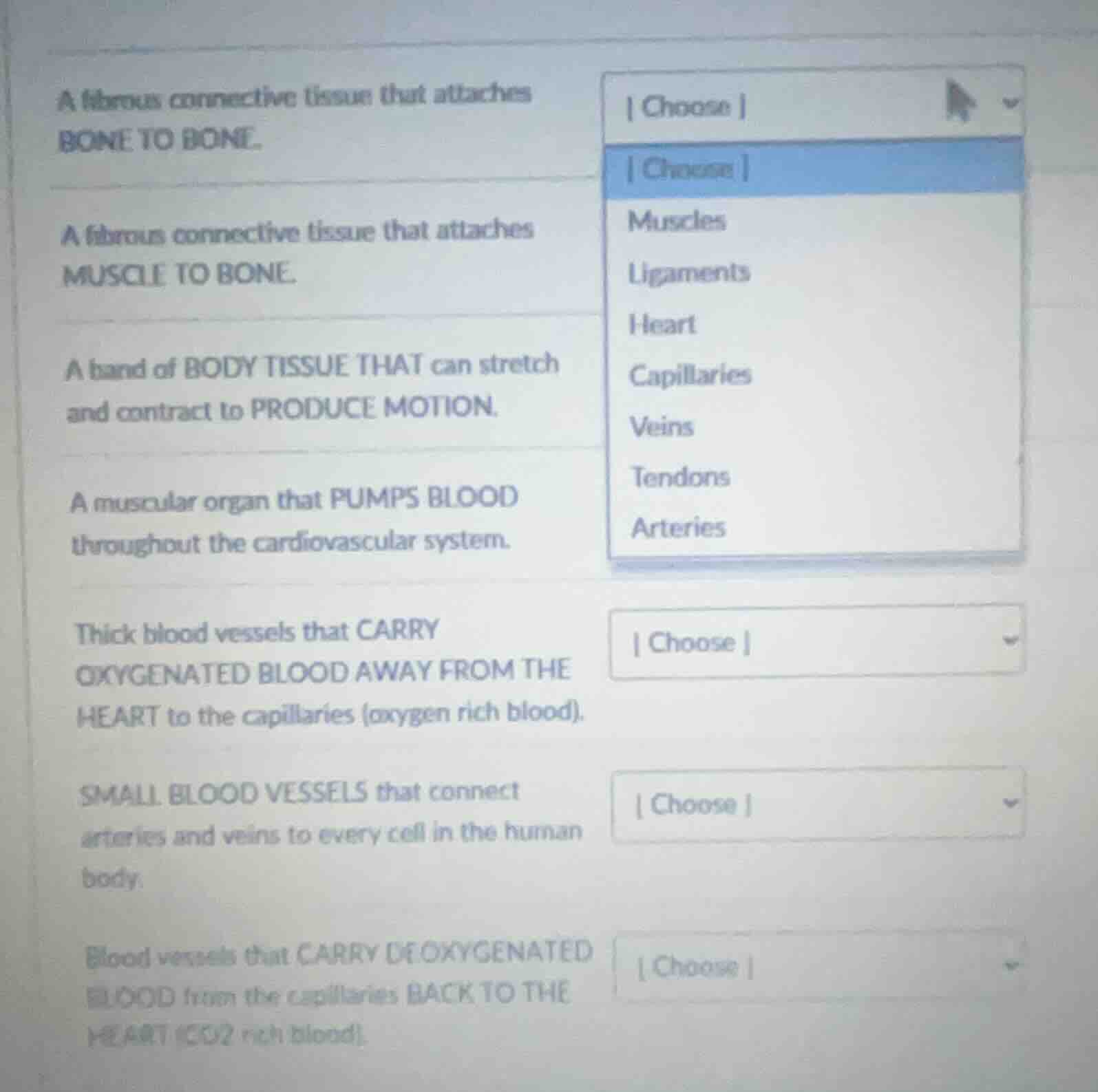 a fibrous connective tissue that attaches bone to bone. a fibrous conne…