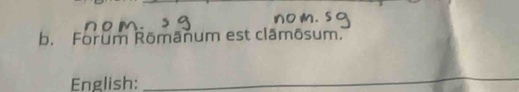 b. nom. sg forum rōmānum est clāmōsum. english: ______
