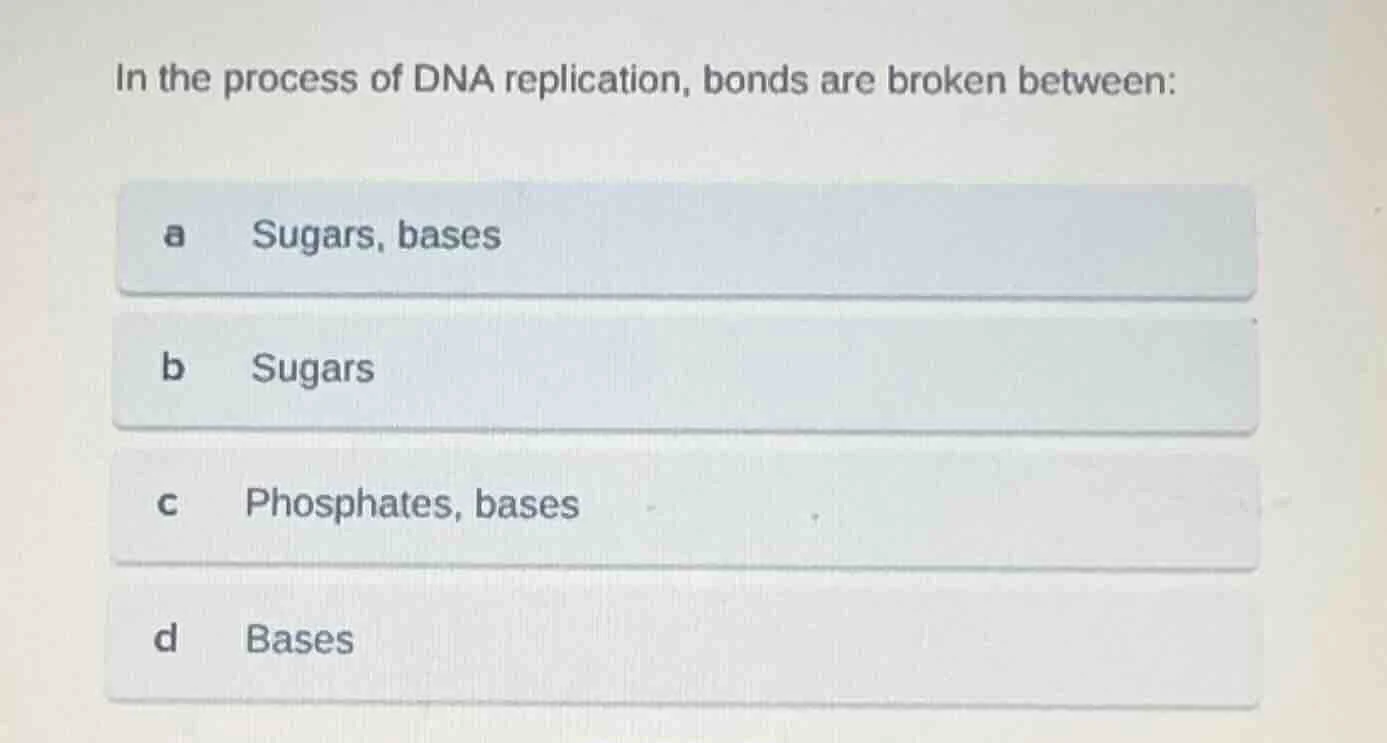 in the process of dna replication, bonds are broken between: a sugars, …