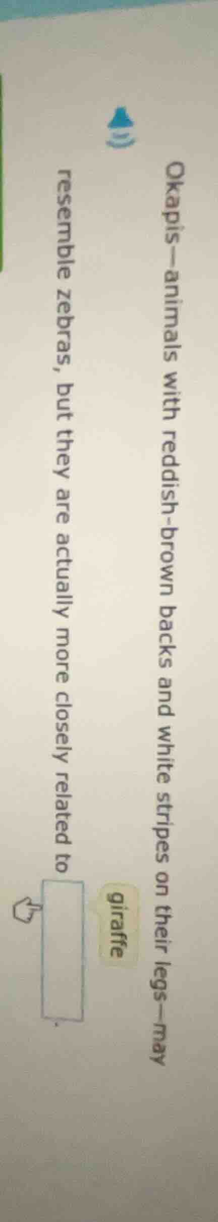 okapis—animals with reddish - brown backs and white stripes on their le…