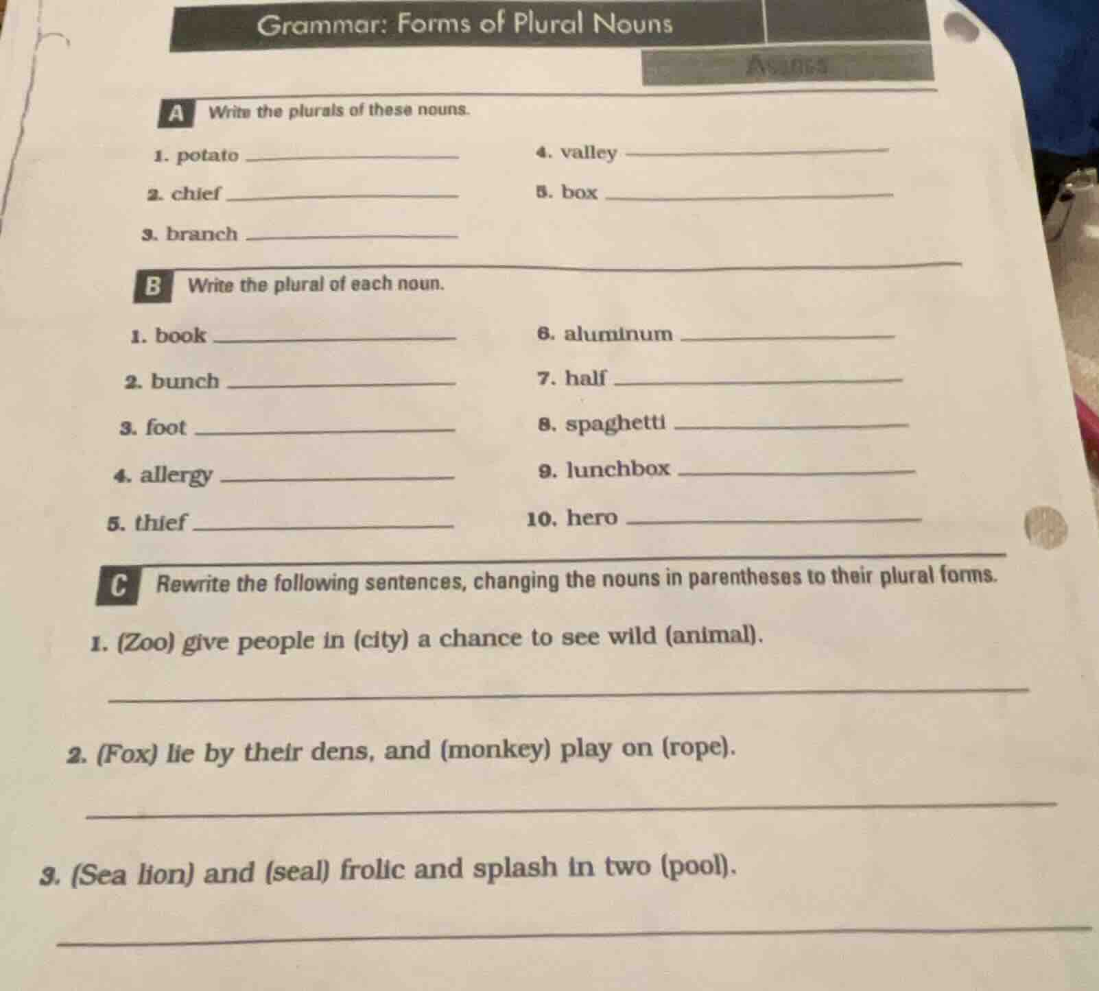 grammar: forms of plural nouns a write the plurals of these nouns. 1. p…