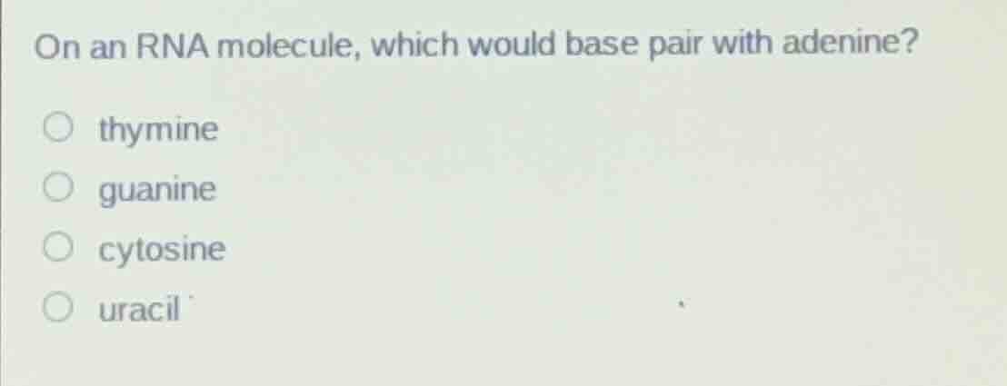 on an rna molecule, which would base pair with adenine? ○ thymine ○ gua…