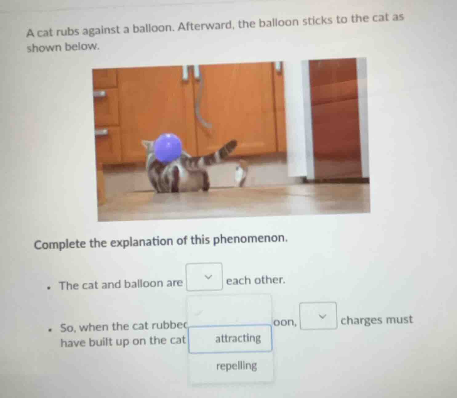 a cat rubs against a balloon. afterward, the balloon sticks to the cat …