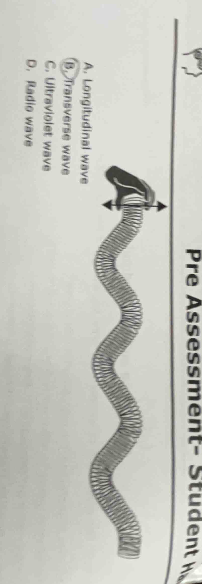 pre assessment- student a. longitudinal wave b. transverse wave c. ultr…