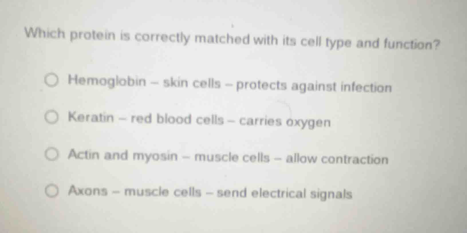 which protein is correctly matched with its cell type and function? hem…