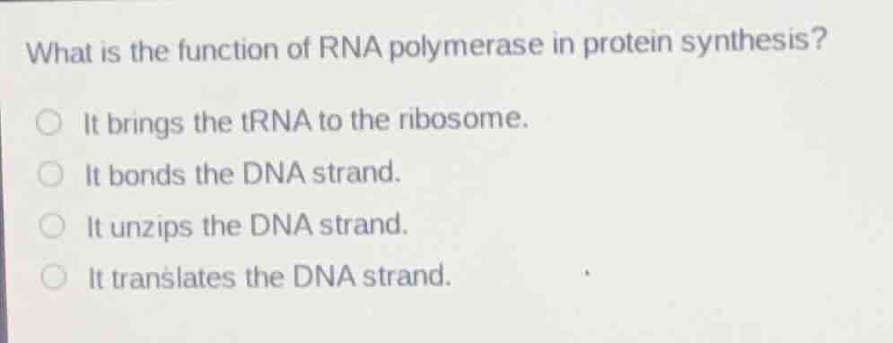 what is the function of rna polymerase in protein synthesis? it brings …