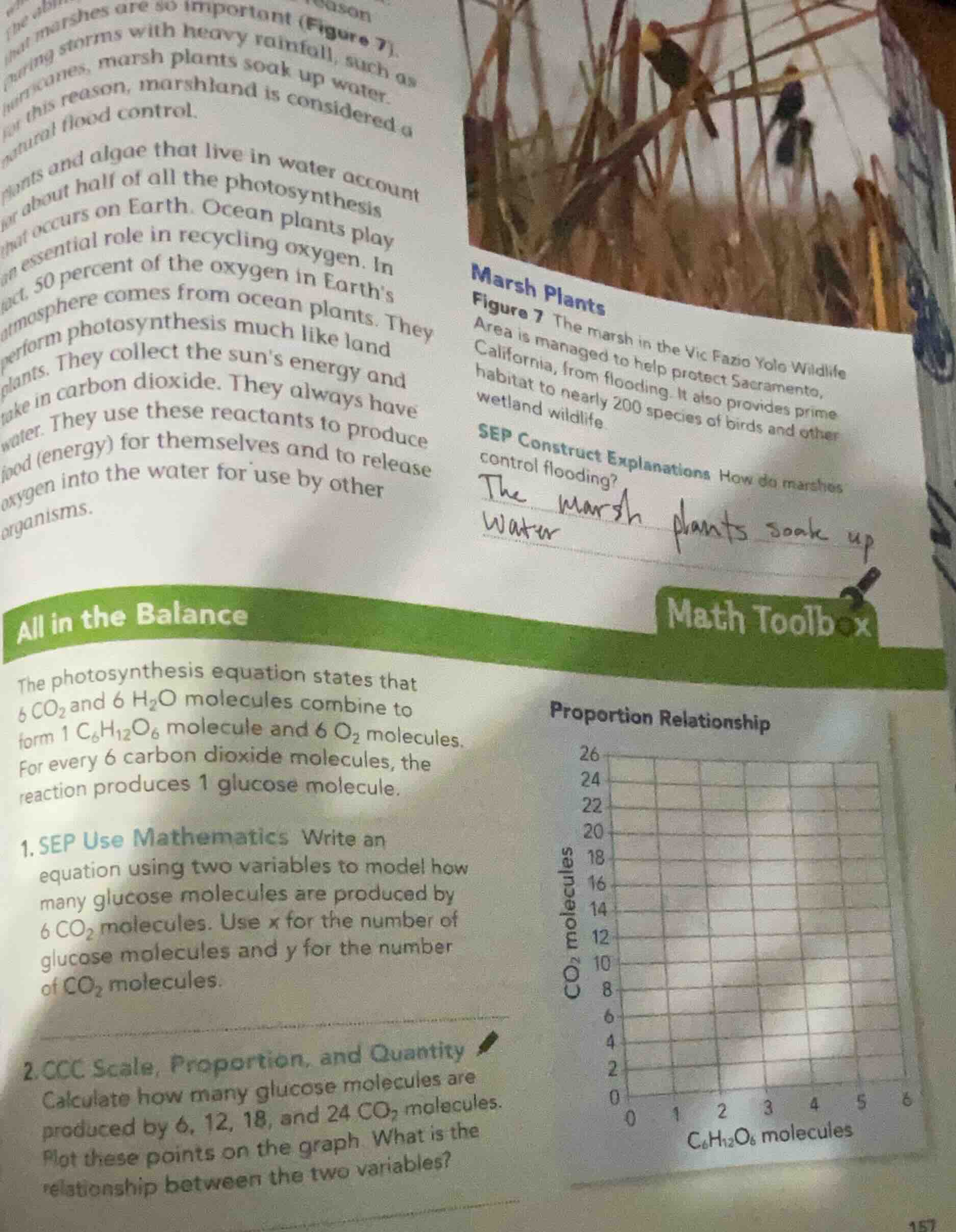 all in the balance the photosynthesis equation states that $6\\ co_2$ a…