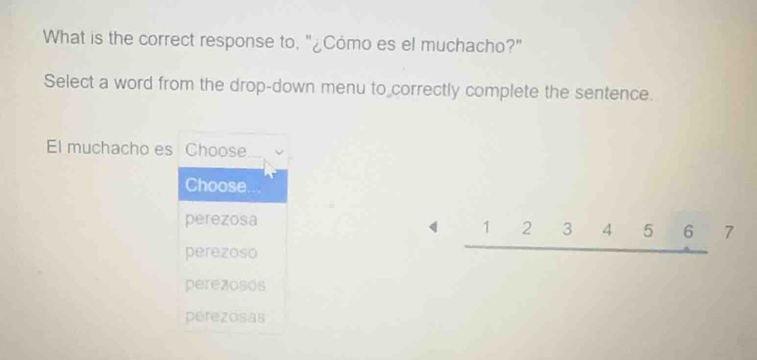 what is the correct response to, \¿cómo es el muchacho?\ select a word …