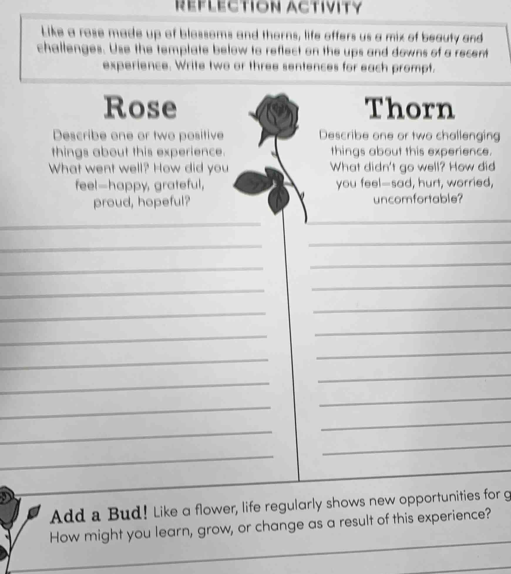 reflection activity like a rose made up of blossoms and thorns, life of…