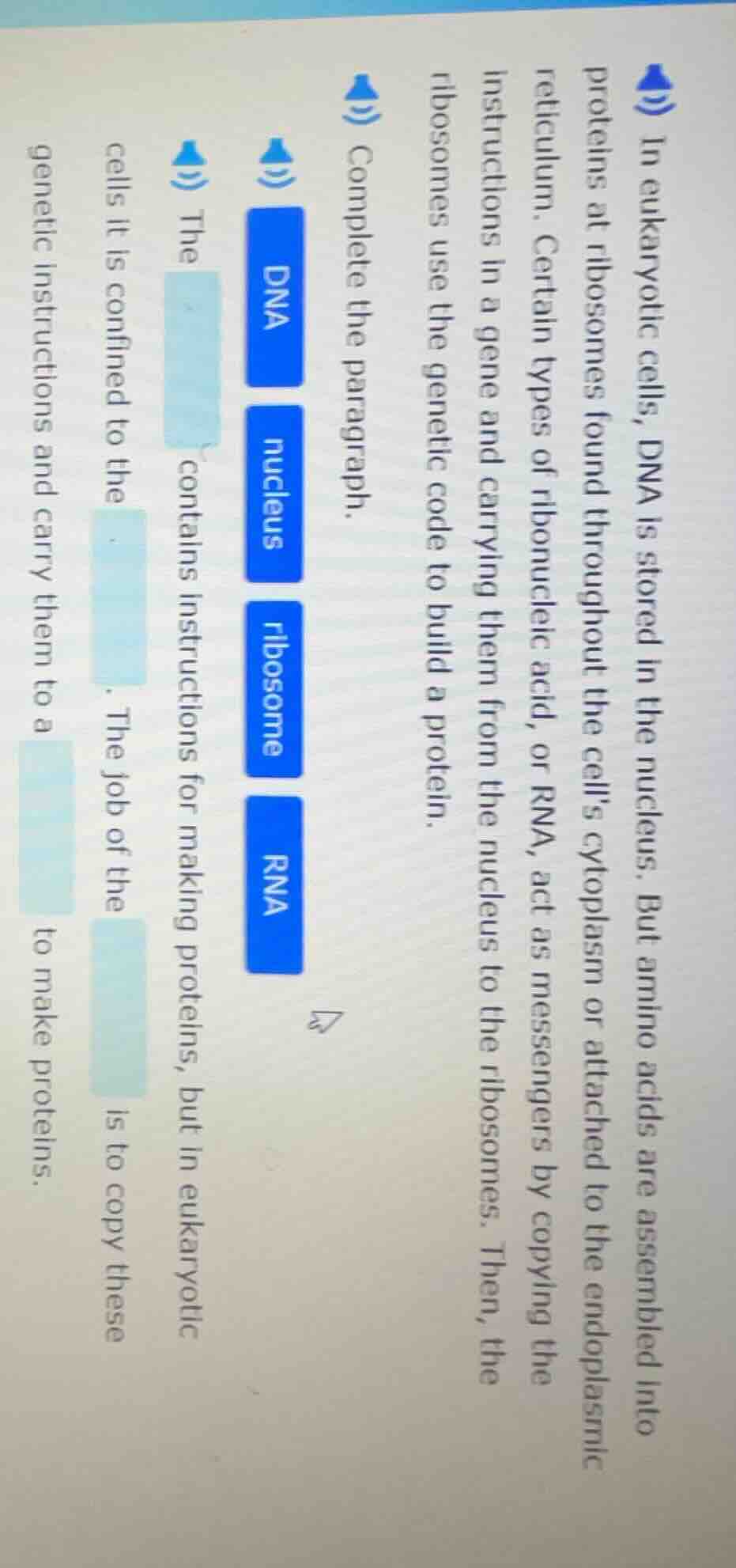 in eukaryotic cells, dna is stored in the nucleus. but amino acids are …