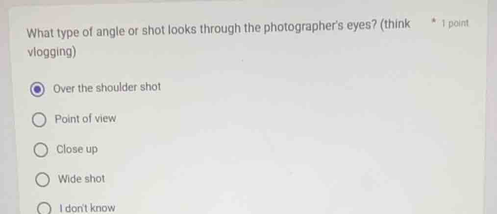 what type of angle or shot looks through the photographers eyes? (think…