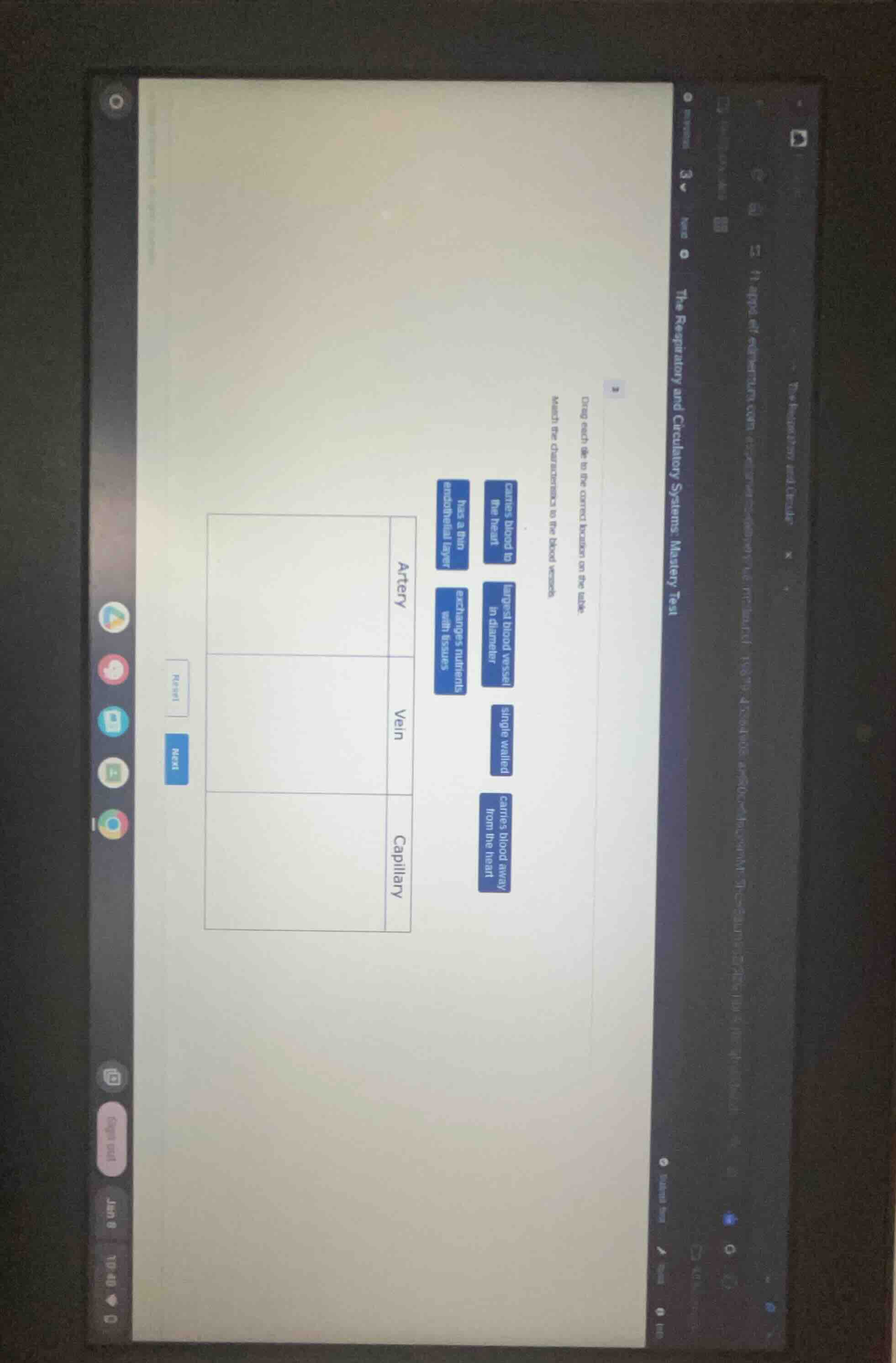 3 drag each tile to the correct box on the table. match the characteris…
