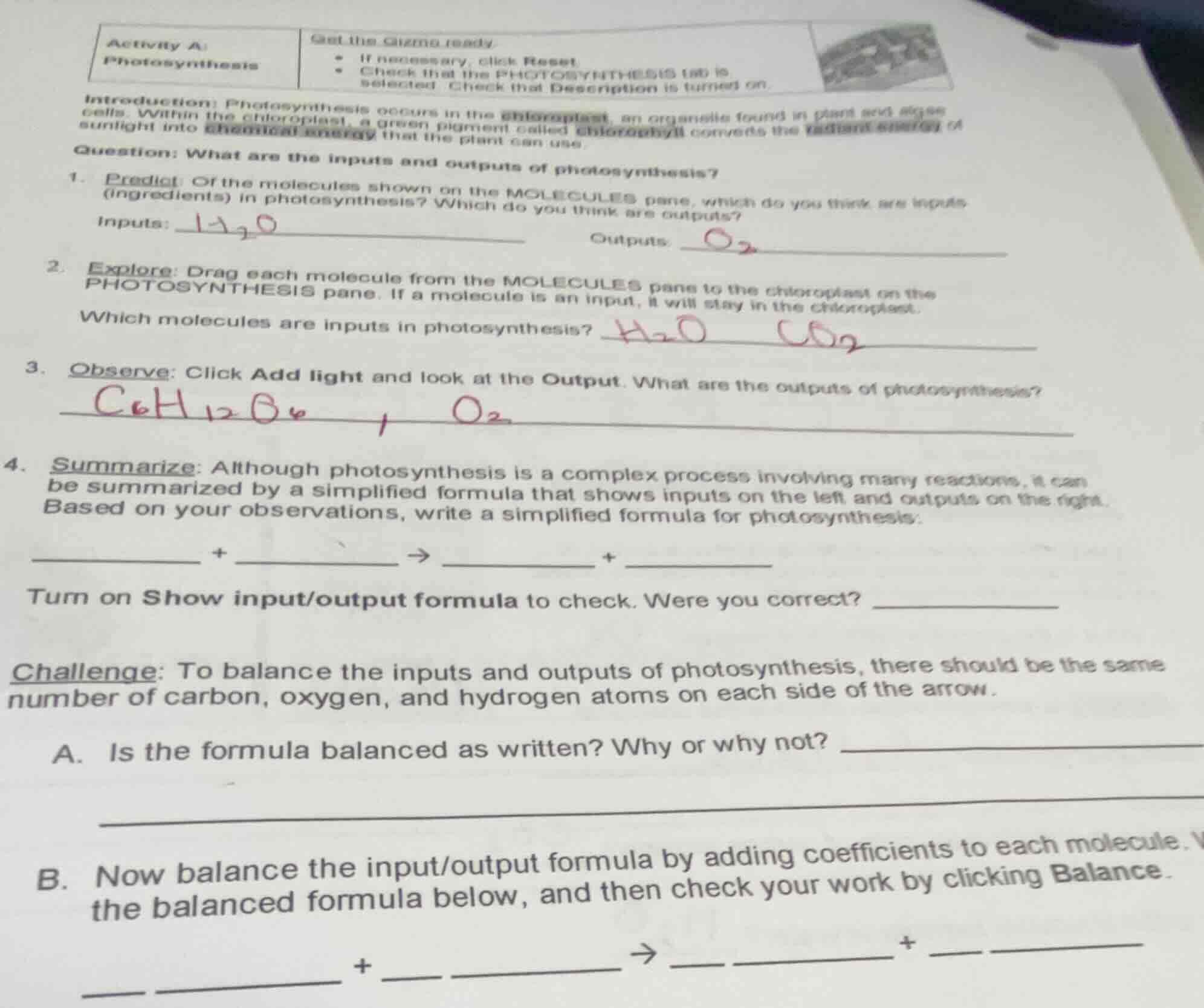activity a: photosynthesis get the gizmo ready: - if necessary, click r…