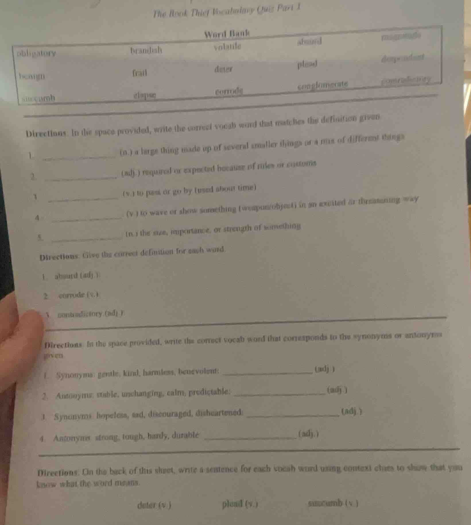 the book thief vocabulary quiz part 1 word bank obligatory brandish vol…