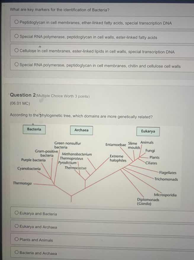 what are key markers for the identification of bacteria? ○ peptidoglyca…