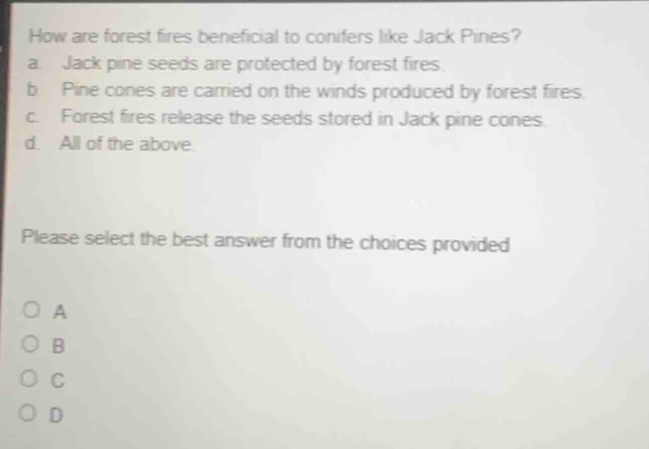 how are forest fires beneficial to conifers like jack pines? a. jack pi…