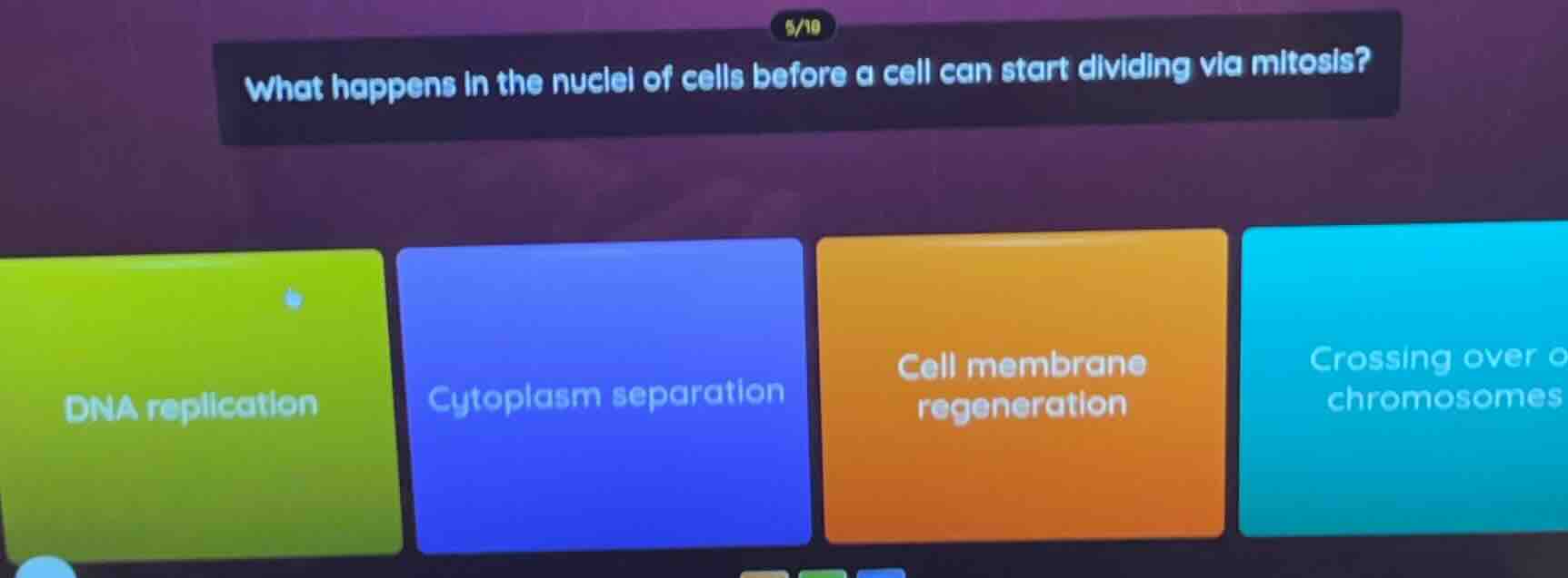 what happens in the nuclei of cells before a cell can start dividing vi…
