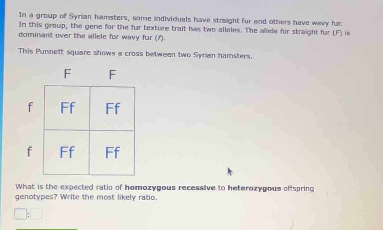 in a group of syrian hamsters, some individuals have straight fur and o…