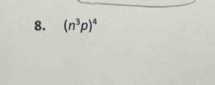 8. $(n^{3}p)^{4}$