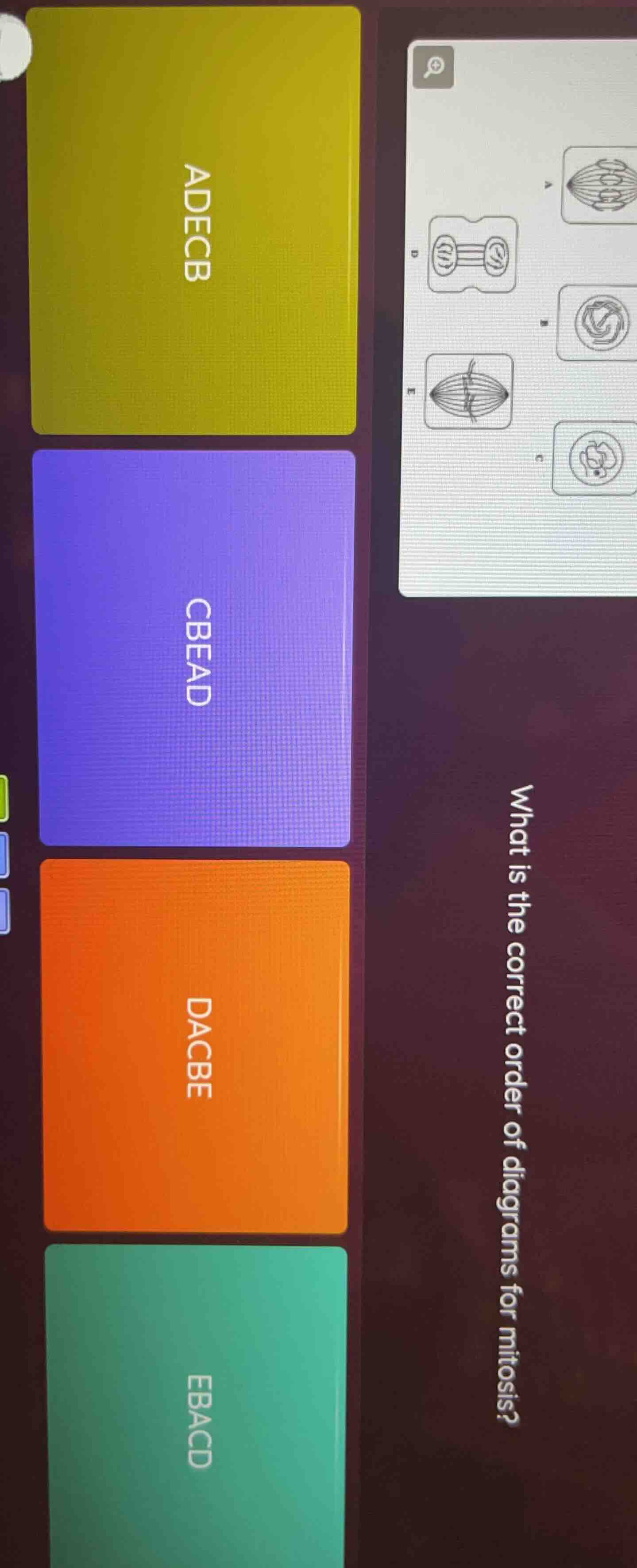 what is the correct order of diagrams for mitosis? adecb cbead dacbe eb…