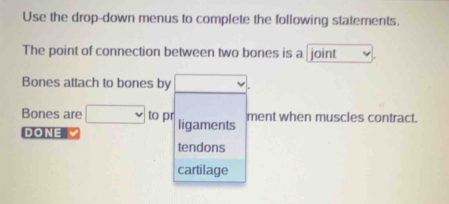 use the drop-down menus to complete the following statements. the point…