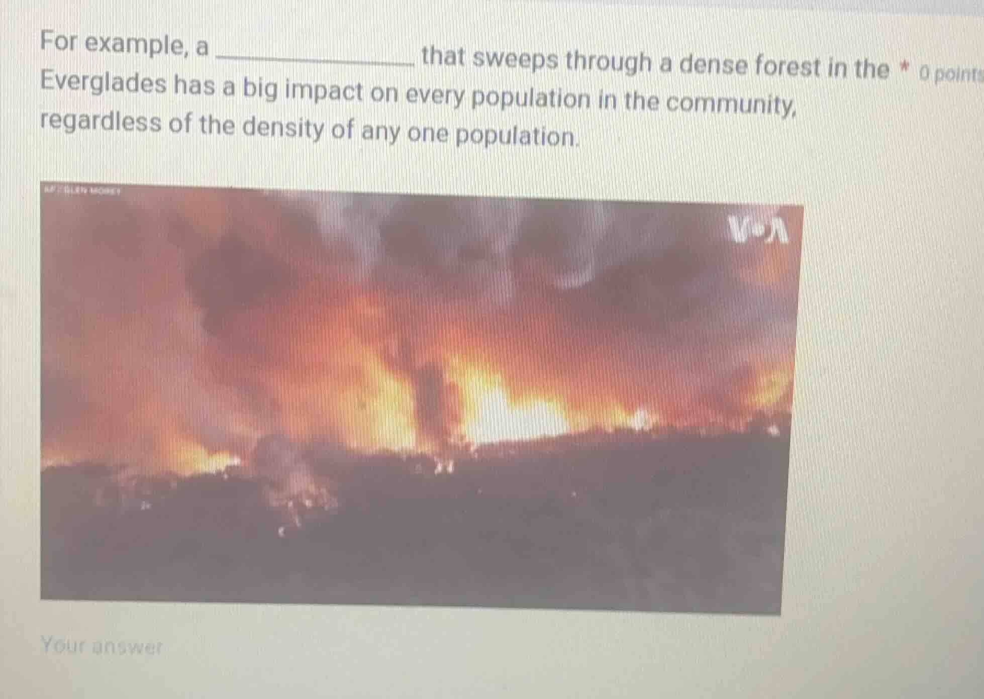 for example, a ______________ that sweeps through a dense forest in the…