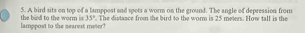 5. a bird sits on top of a lamppost and spots a worm on the ground. the…