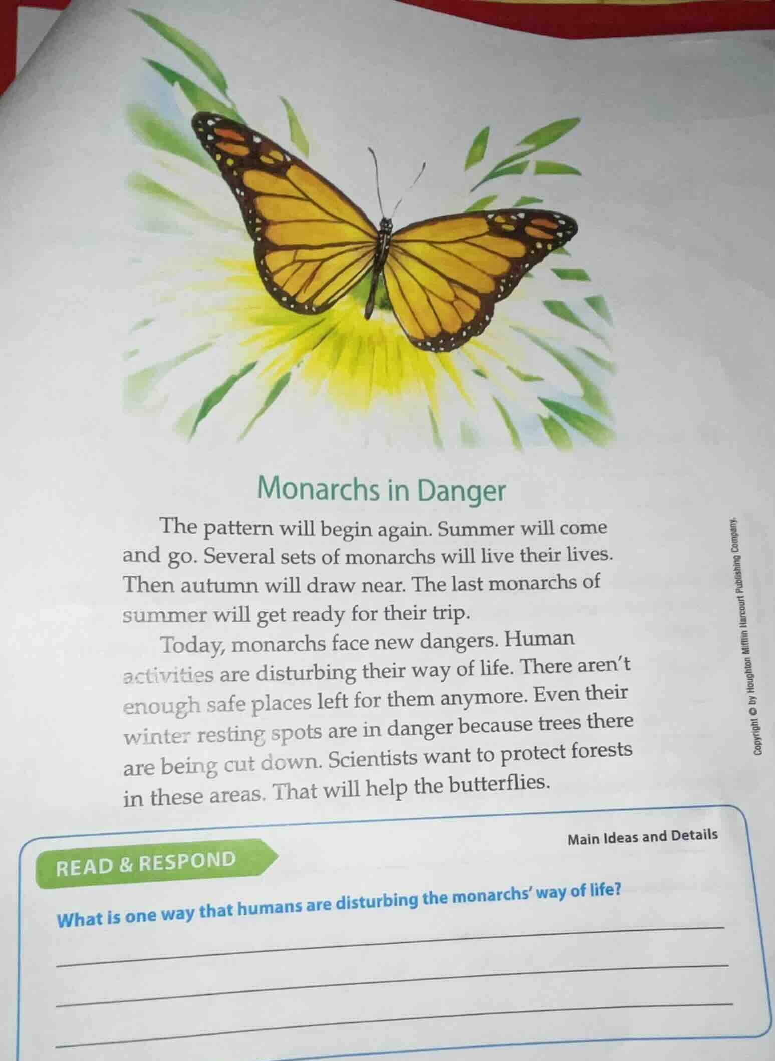 monarchs in danger the pattern will begin again. summer will come and g…