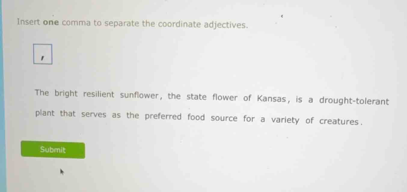insert one comma to separate the coordinate adjectives. , the bright re…