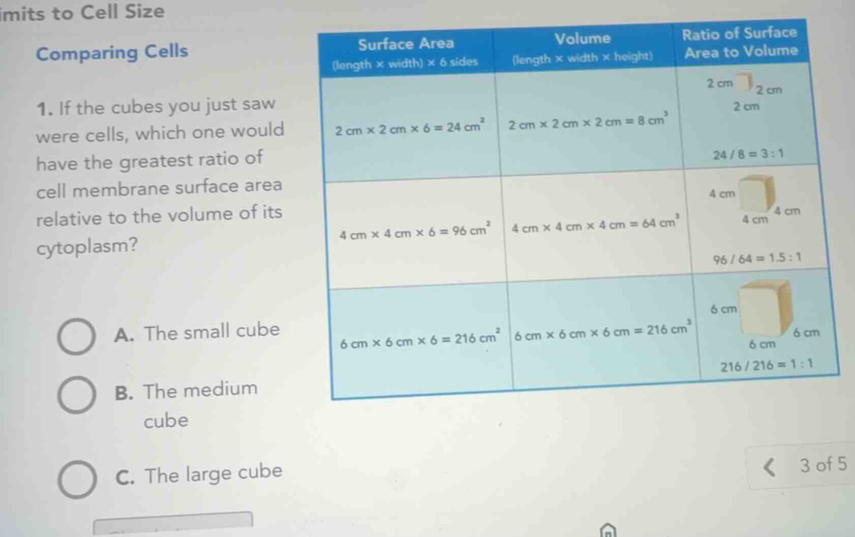imits to cell size comparing cells 1. if the cubes you just saw were ce…