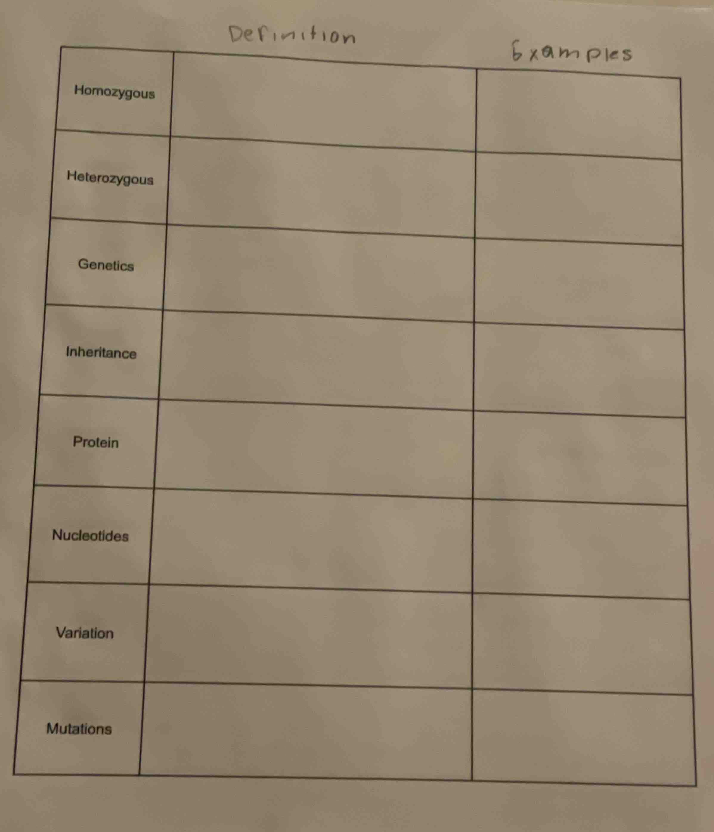 definition examples homozygous heterozygous genetics inheritance protei…