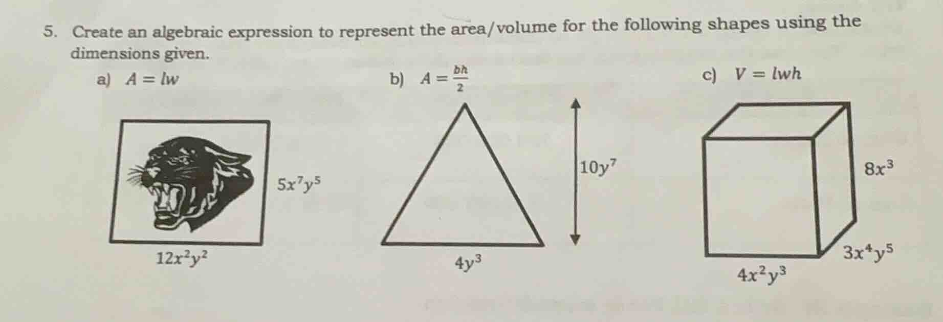 5. create an algebraic expression to represent the area/volume for the …
