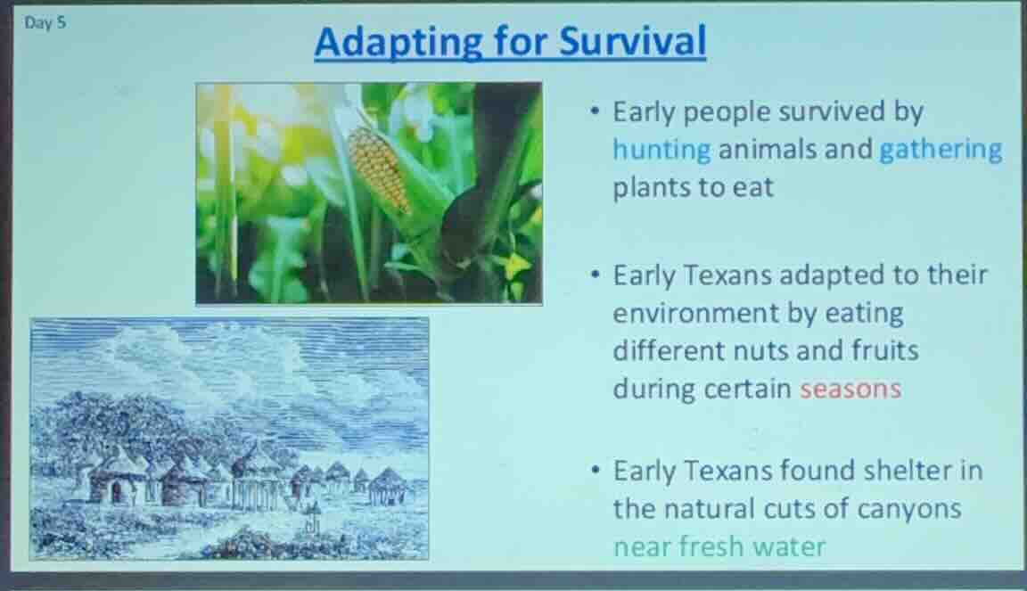 day 5 adapting for survival - early people survived by hunting animals …
