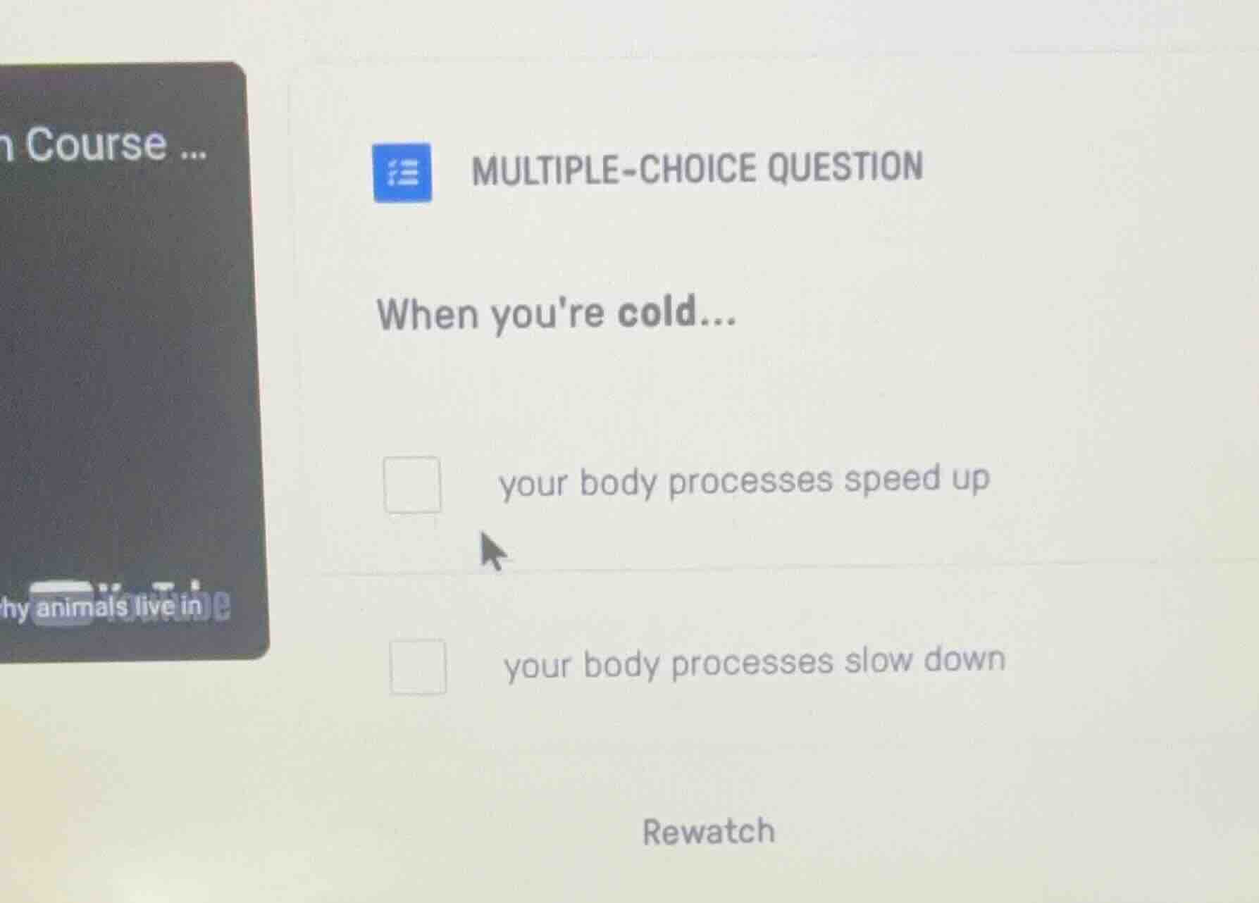 multiple-choice question when youre cold... your body processes speed u…