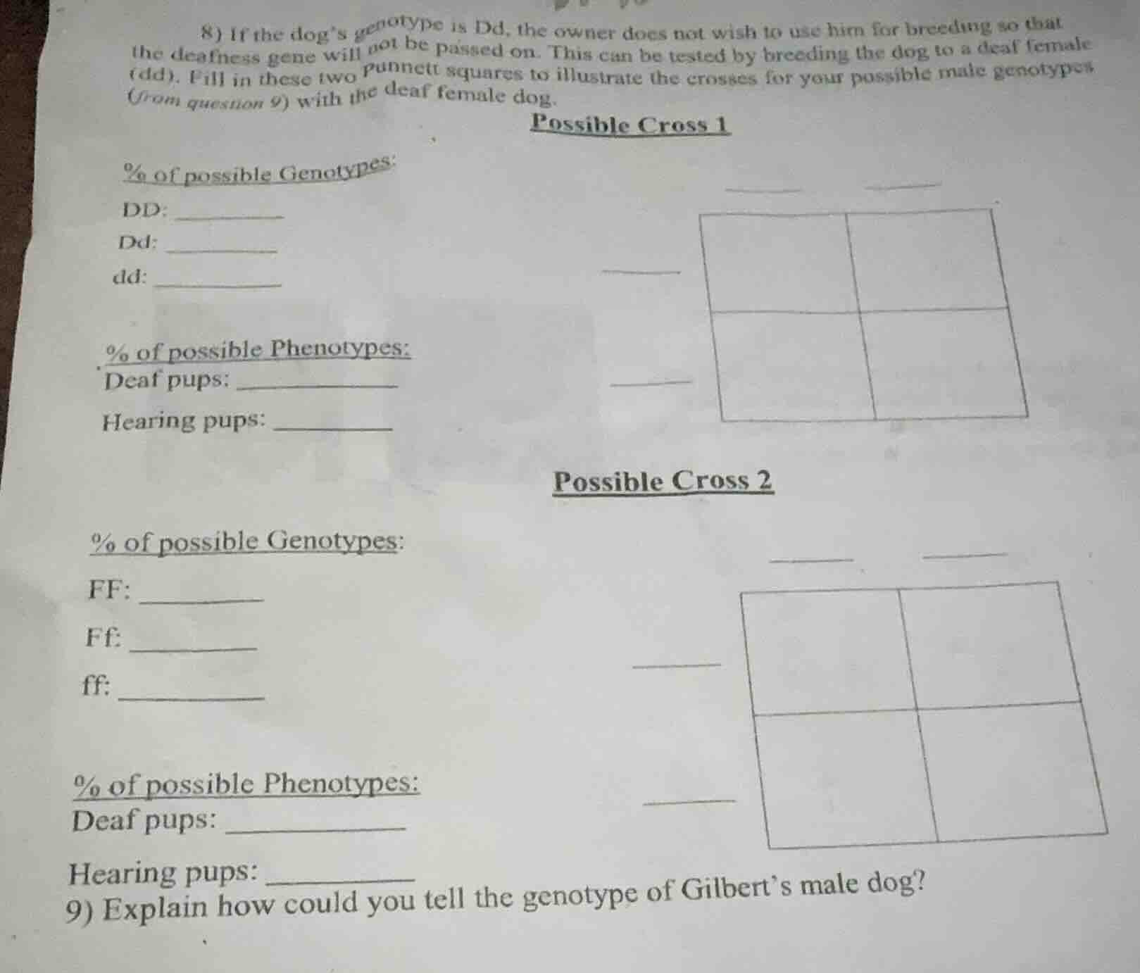 8) if the dogs genotype is dd, the owner does not wish to use him for b…