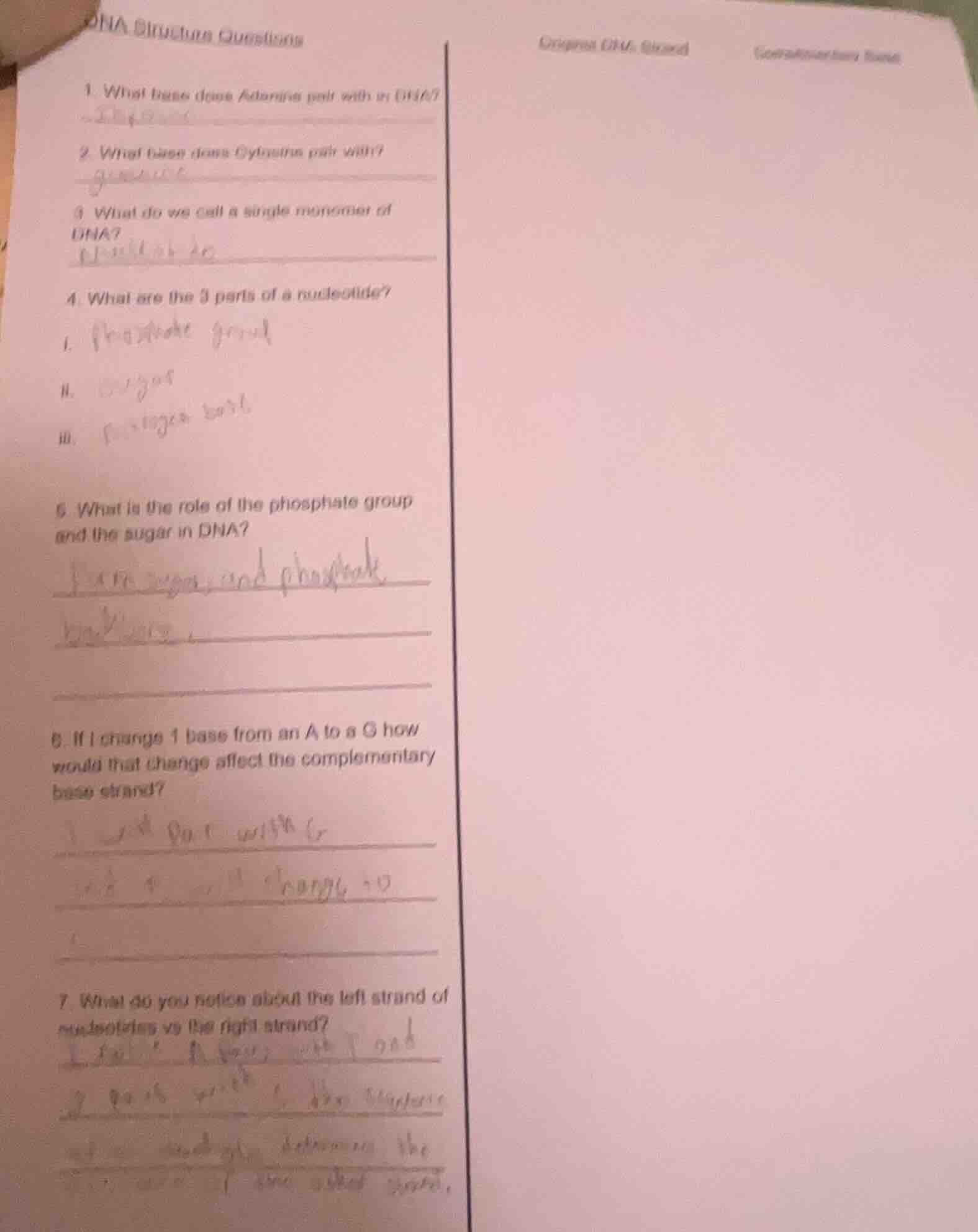 dna structure questions 1. what base does adenine pair with in dna? 2. …