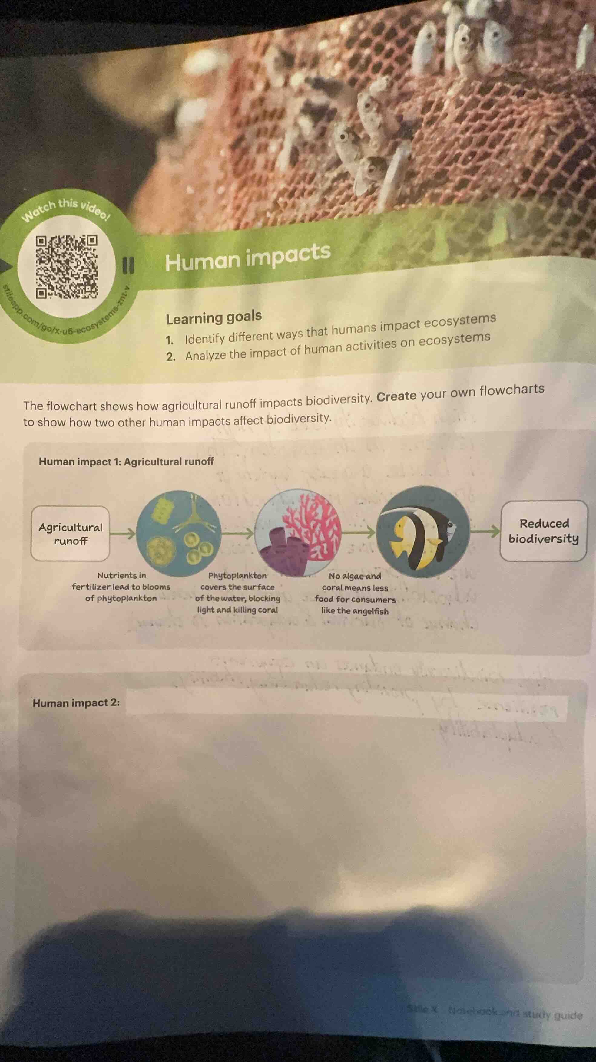 human impacts learning goals 1. identify different ways that humans imp…