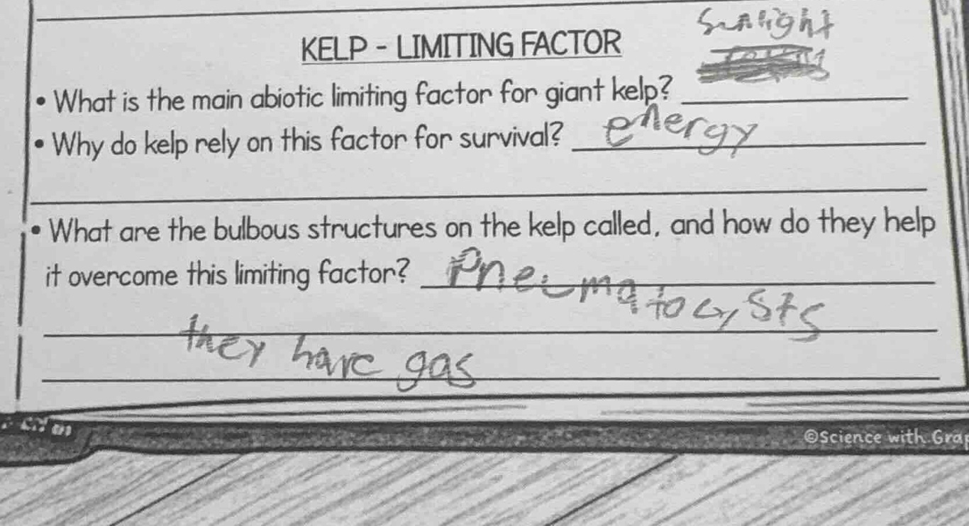 kelp - limiting factor - what is the main abiotic limiting factor for g…