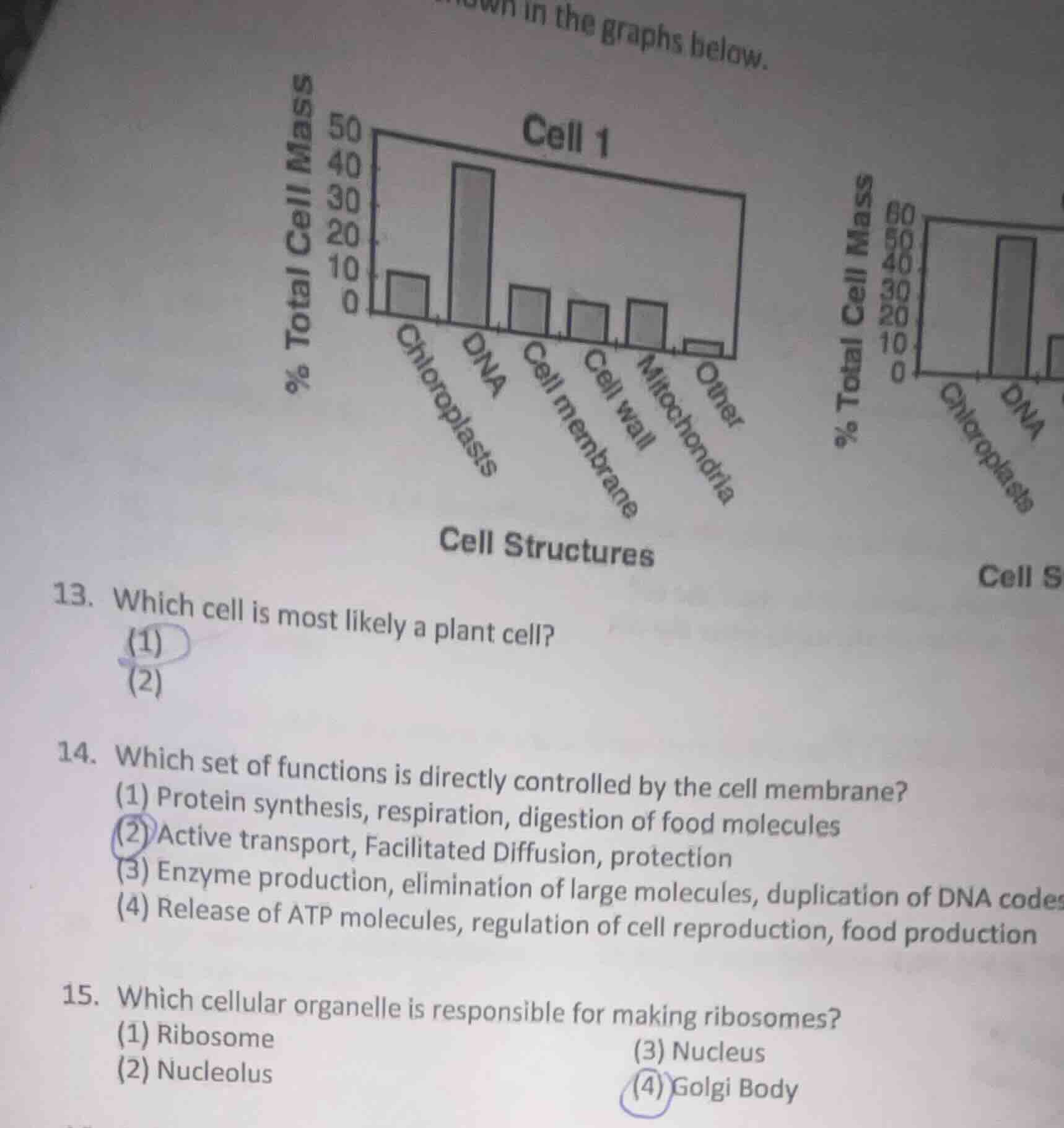 in the graphs below. 13. which cell is most likely a plant cell? (1) (2…