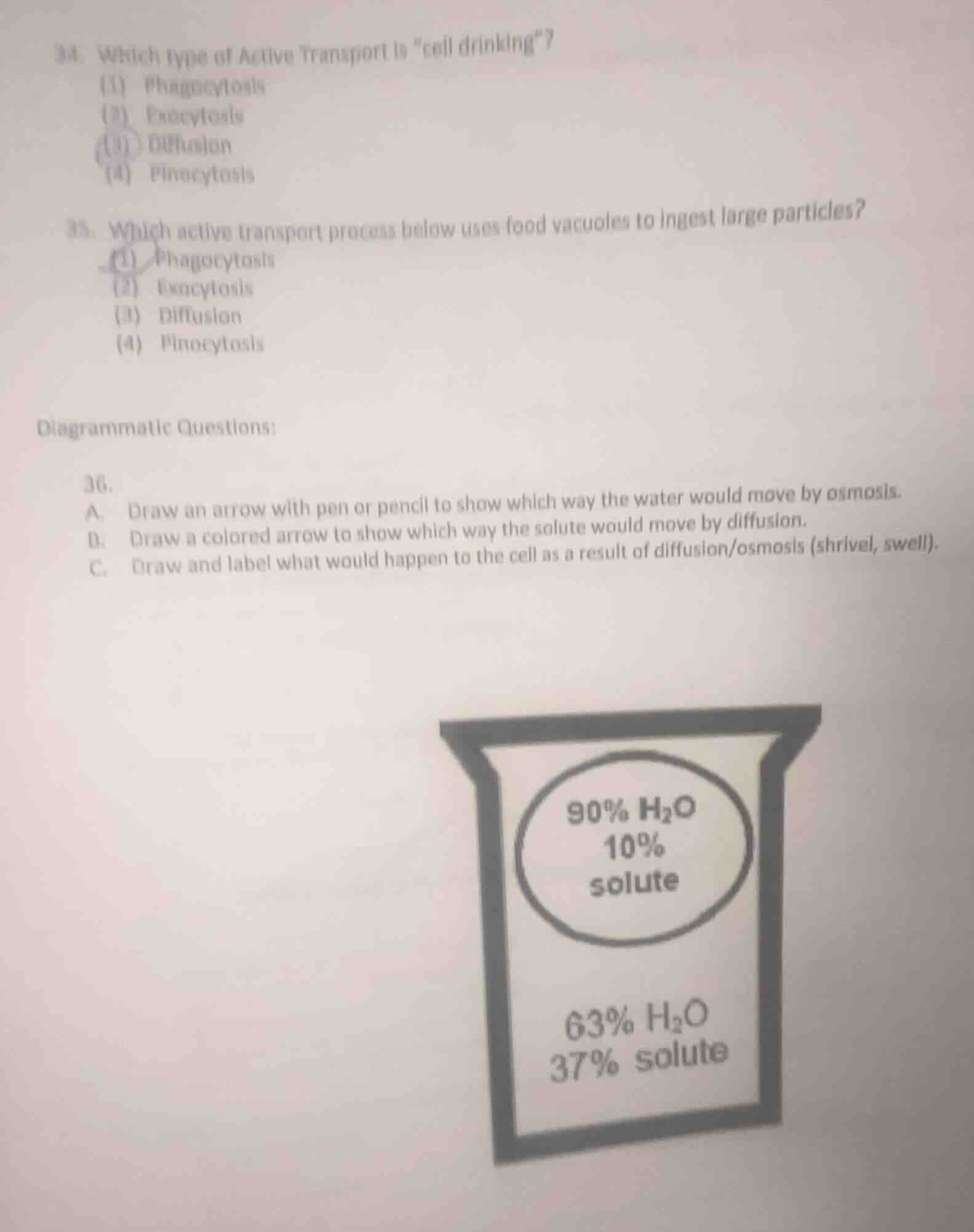 34. which type of active transport is \cell drinking\? (1) phagocytosis…