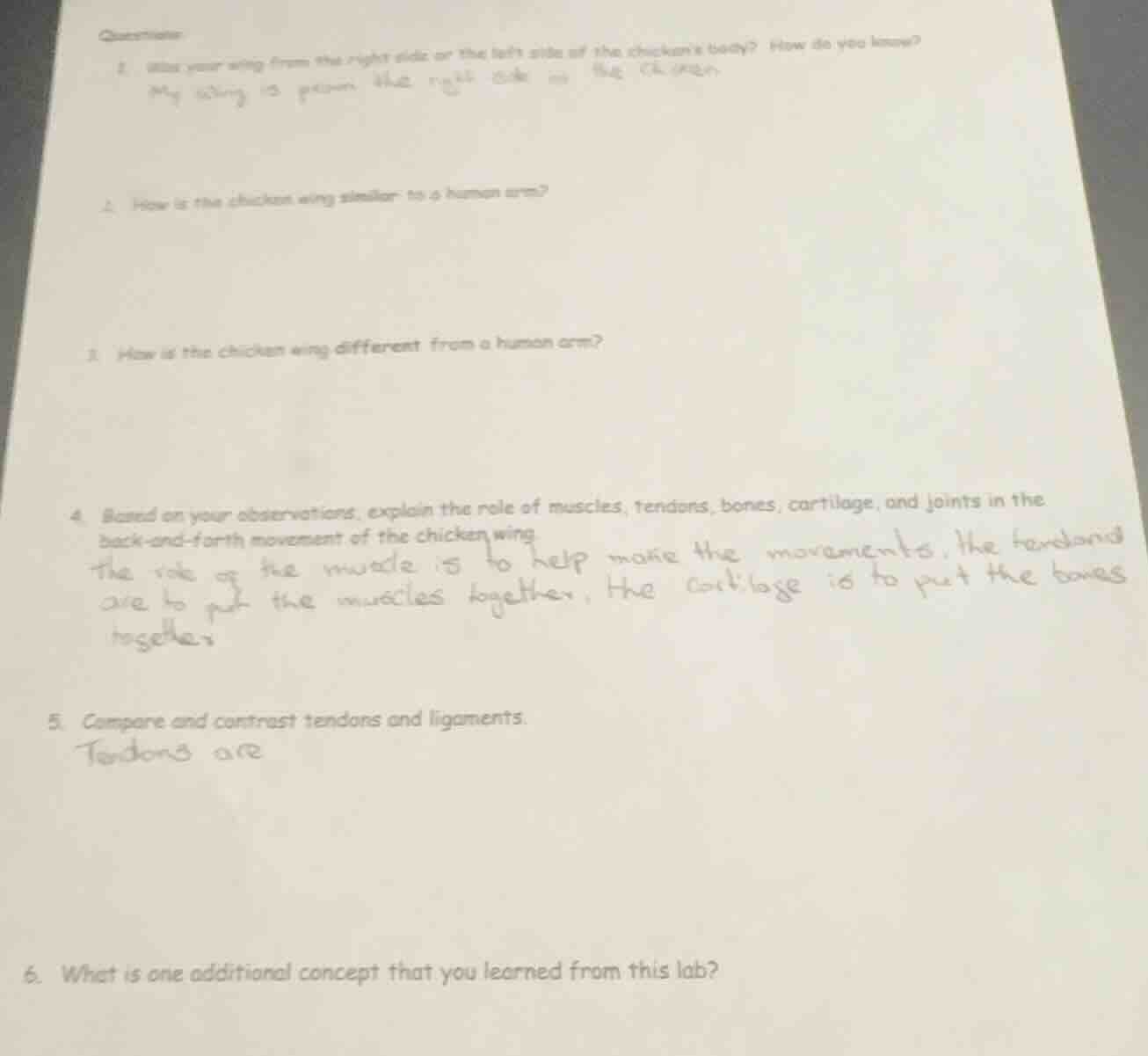 questions 1. was your wing from the right side or the left side of the …