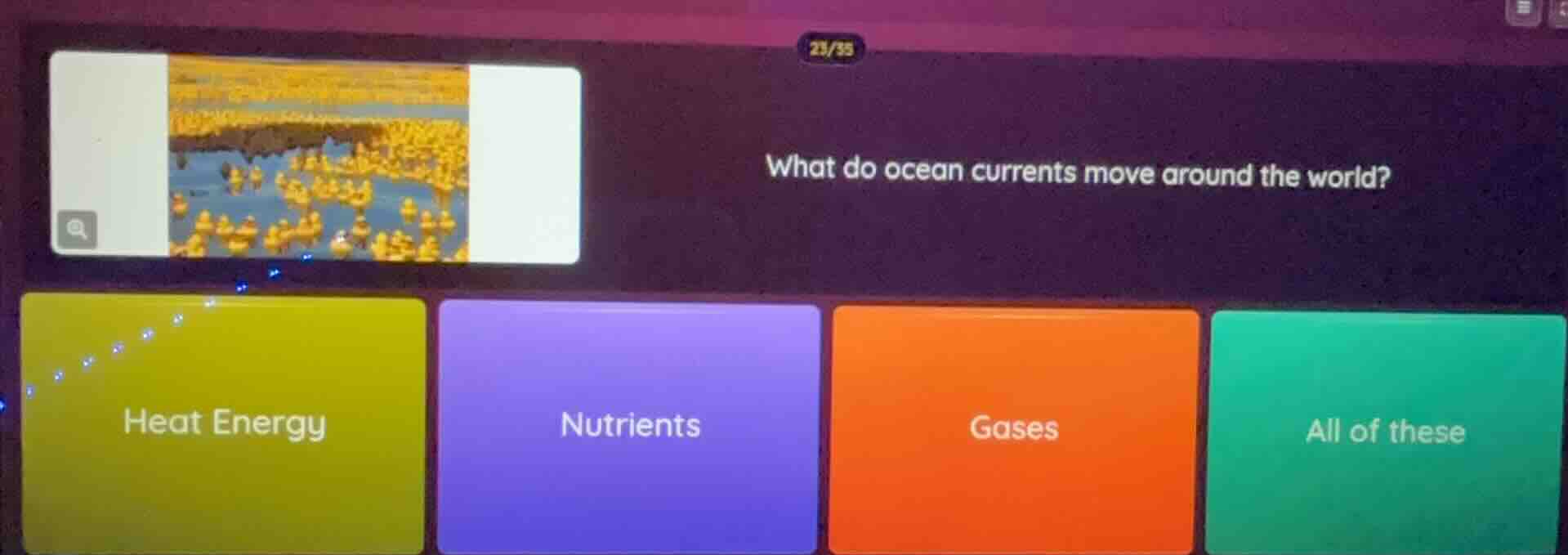 what do ocean currents move around the world? heat energy nutrients gas…