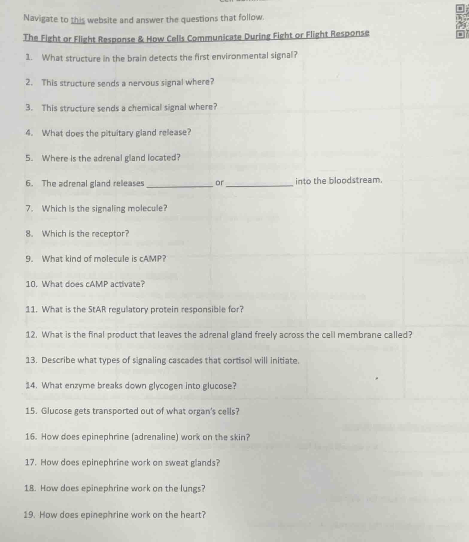 navigate to this website and answer the questions that follow. the figh…