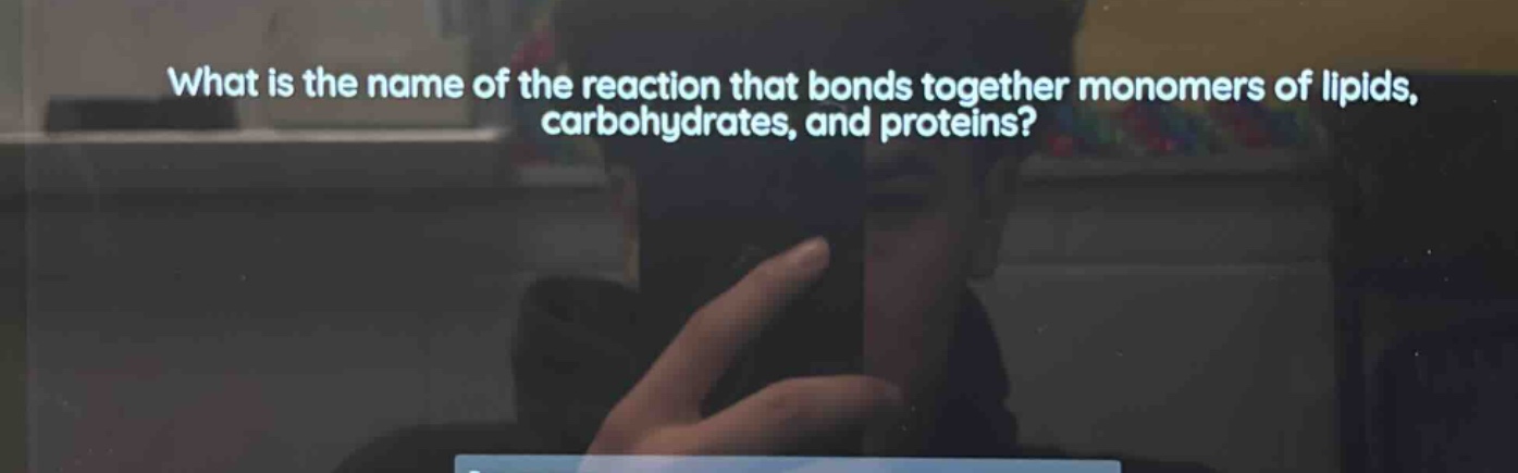 what is the name of the reaction that bonds together monomers of lipids…